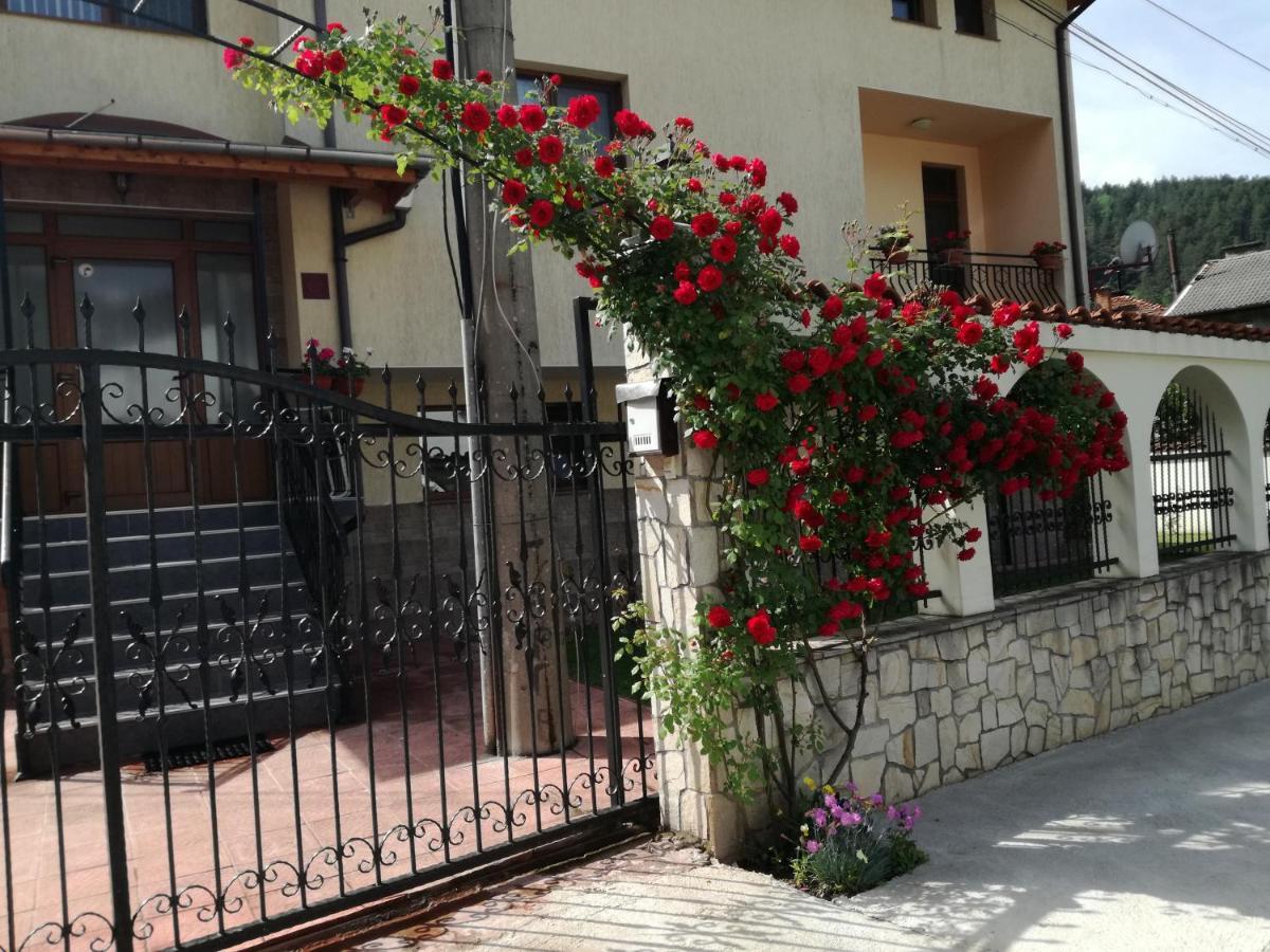 Guest House Benita Ντέβιν Εξωτερικό φωτογραφία