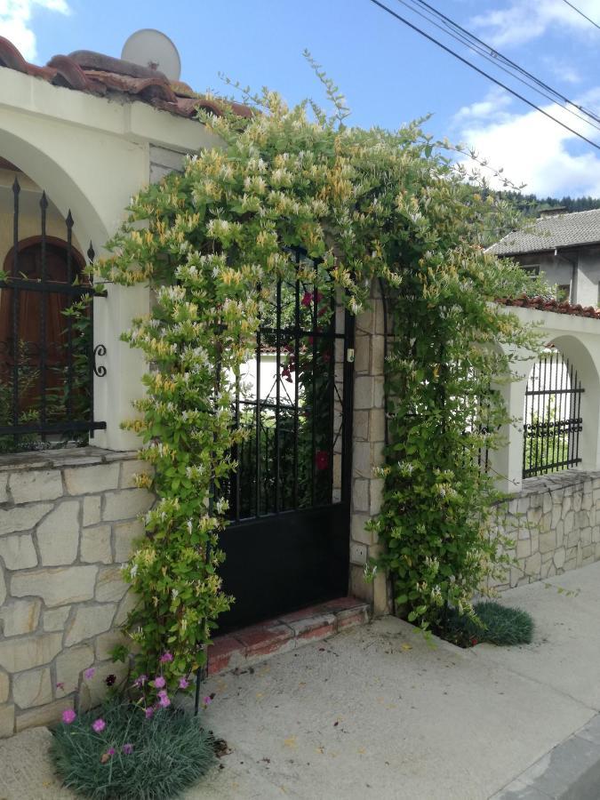 Guest House Benita Ντέβιν Εξωτερικό φωτογραφία
