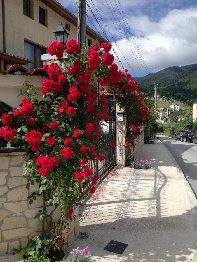 Guest House Benita Ντέβιν Εξωτερικό φωτογραφία