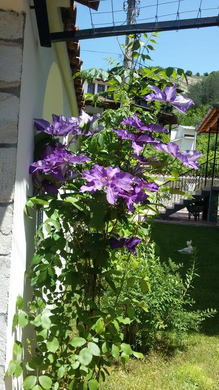 Guest House Benita Ντέβιν Εξωτερικό φωτογραφία